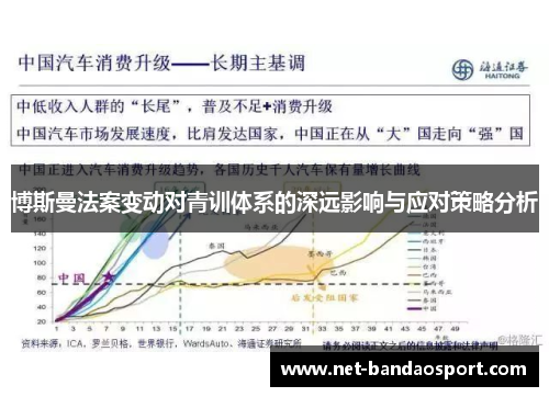 博斯曼法案变动对青训体系的深远影响与应对策略分析