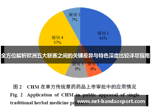 全方位解析欧洲五大联赛之间的关键差异与特色深度比较详尽指南 全方位解析欧洲五大联赛之间的关键差异与特色深度比较详尽指南
