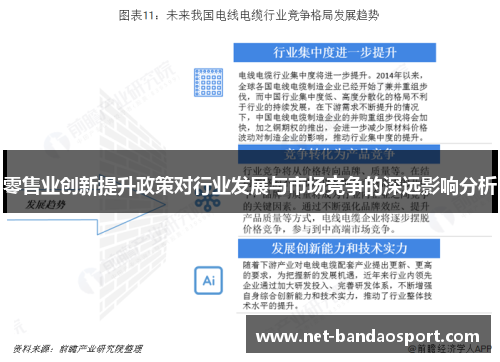 零售业创新提升政策对行业发展与市场竞争的深远影响分析